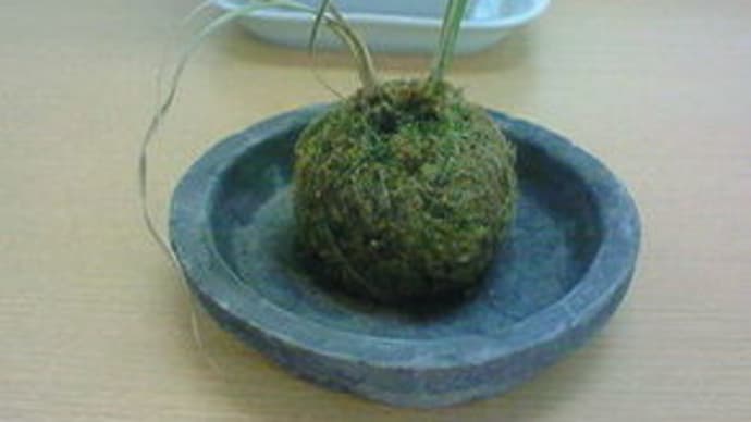 足を運びます