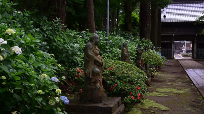 ◆羅漢像と紫陽花のお寺「経王山 光徳寺」（市原市）