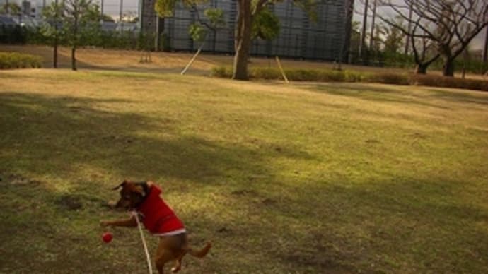 トレーニング前の緊急事態!