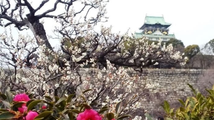久しぶりの屋外行事:大阪城梅林公園