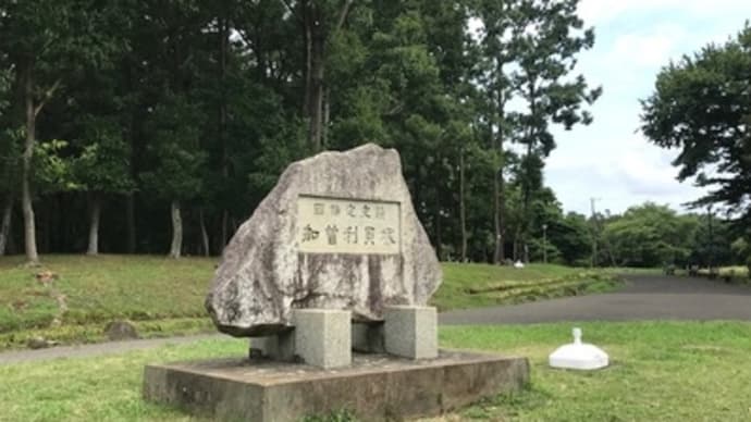 加曽利貝塚へ