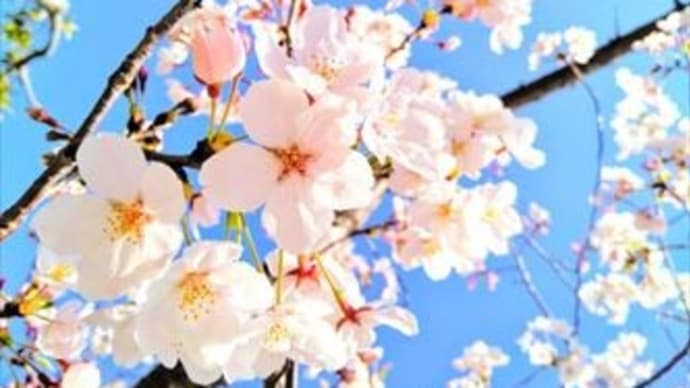 失望に終わらない希望