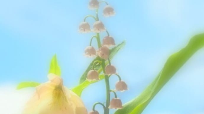 寒かった~!!