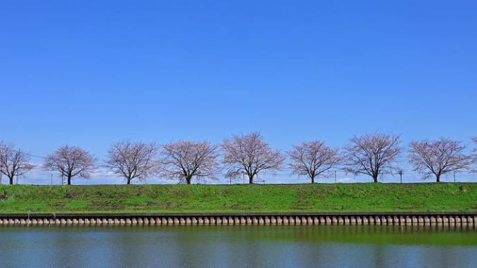 忍城など