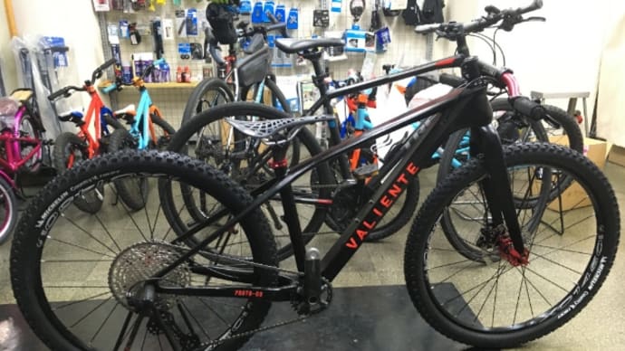中華カーボンMTB完成