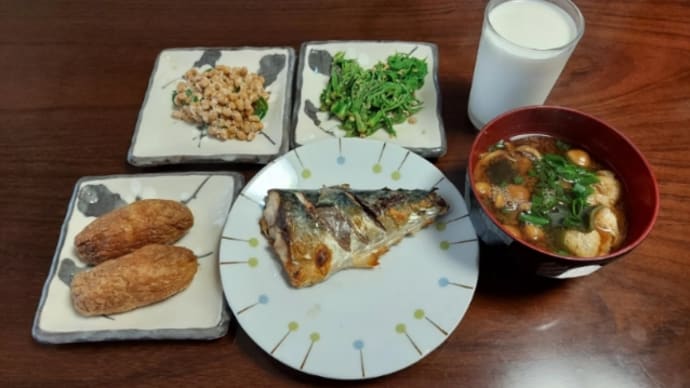 山菜の王様コシアブラ