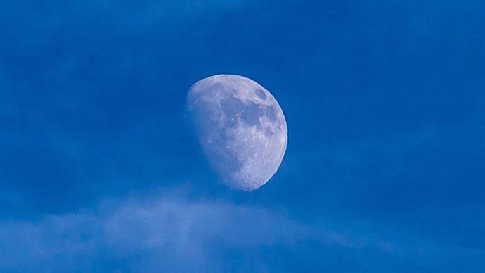 午後の月、白雲浮かぶ青空に（2020年1月）