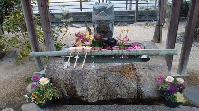 藤田神社の花手水~2025年3月1日