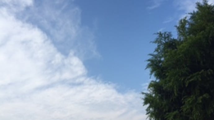 車に乗せてください
