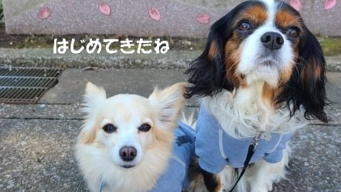 「鎌倉殿の13人」ゆかりの地巡り(おまけ)