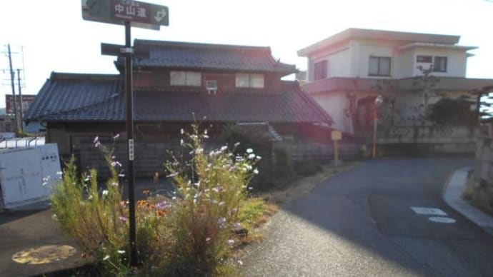 旧中山道を行く 鵜沼宿~