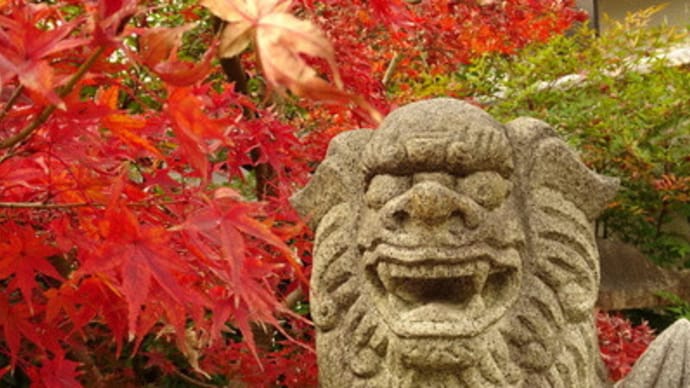2018年・晴明神社の紅葉　＠　京都妖怪探訪（５８７）