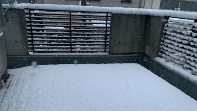 雪!的な