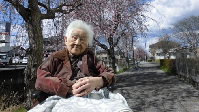 満開の桜🌸春だな~