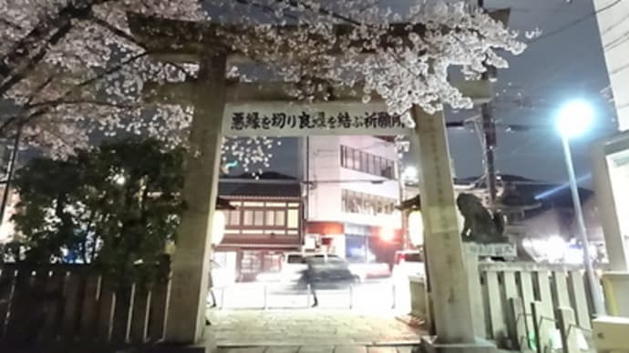 悪縁切りの神様と夜桜　＠　京都妖怪探訪（５５５）