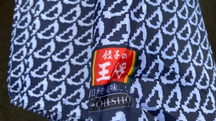 甥っ子から貰った餃子の王将の折り畳み傘