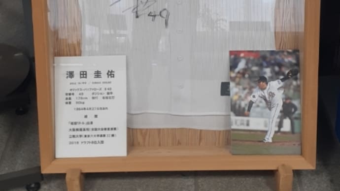澤田圭佑ユニフォーム