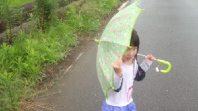 昨日ののータソ・雨の日のお散歩