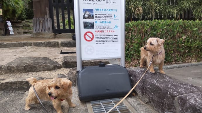 宇和島城