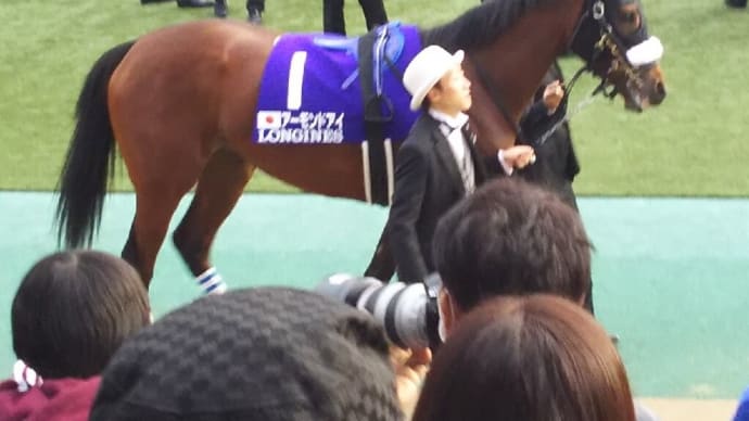 🐴おうまさん(23/11/26②) 🚃京阪杯,カノープスS,地方2重賞