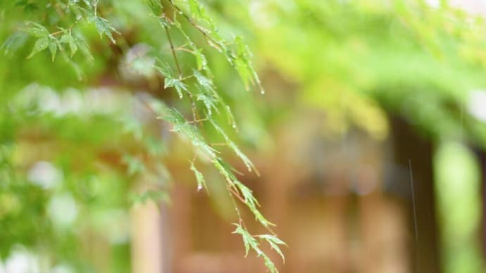 雨の季節の雲仙へ~前編