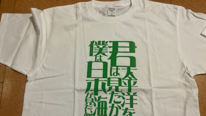 君は太平洋を見たか、僕は日本海が見たい / 中部横断自動車道キャッチフレーズ