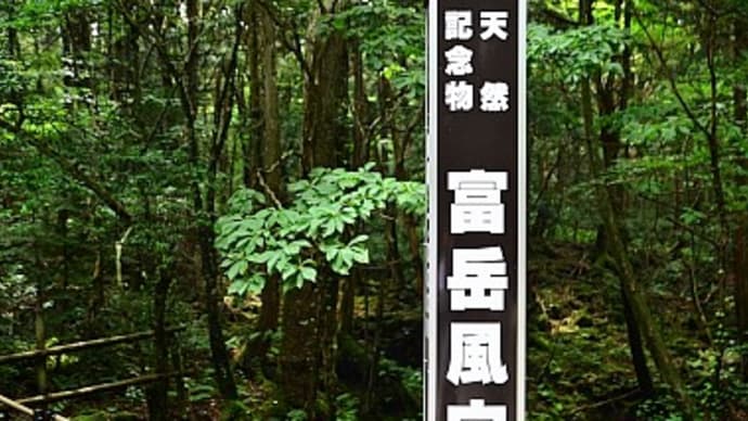 富岳風穴と鳴沢氷穴