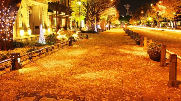 横浜 クリスマス夜景