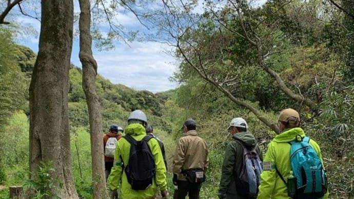 「さとたん」メンバーで、春の自然観察会