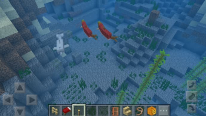 マイクラPE海が楽しい