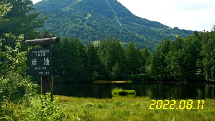 つぶやき:有志で志賀高原池めぐり登山 20220811