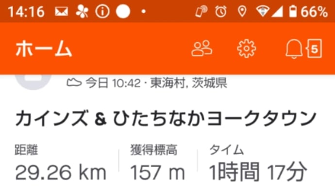 虫カゴ探し‼️と飼育容器の購入