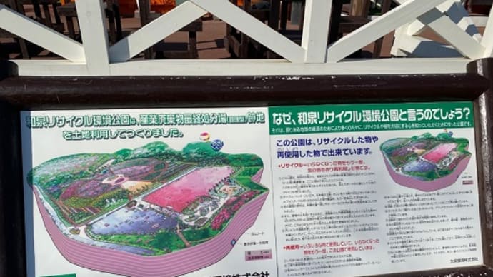 和泉リサイクル環境公園でお花見
