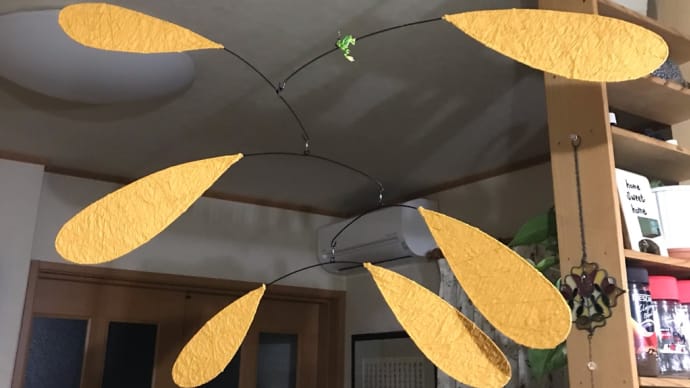 家の中に小さな癒しを作る