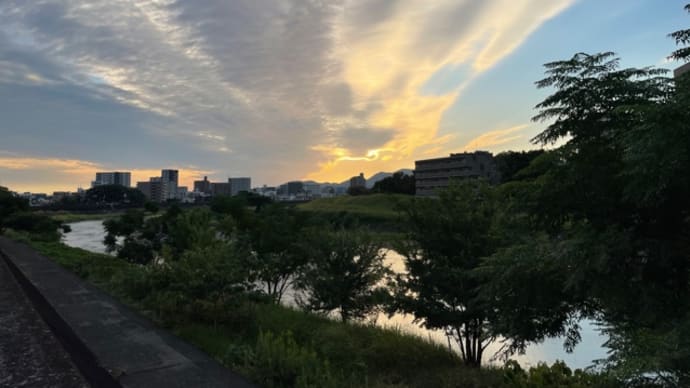 秋の文芸(その四)*菊や葛の花など🍁短歌