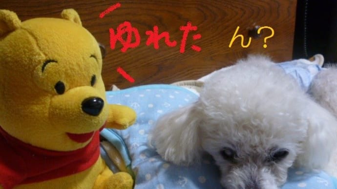 今日の地震はまだ余震? 老犬ラスさんは変化なし…(-_-)ウーム