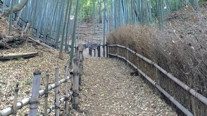 小机城址公園で癒される