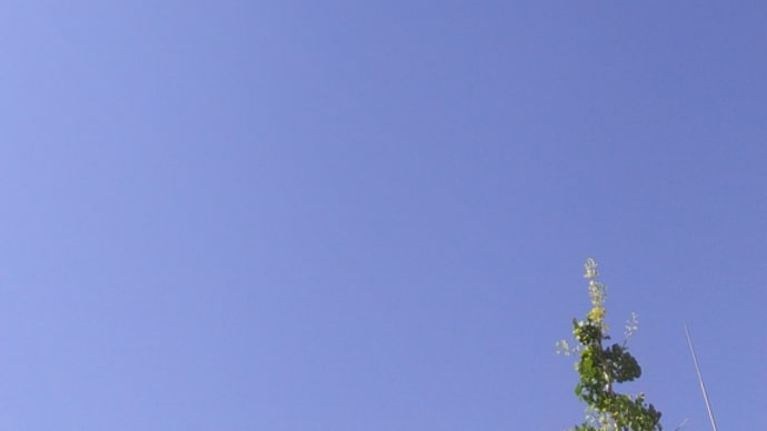 リムパーザ12日目 真っ青な夏空