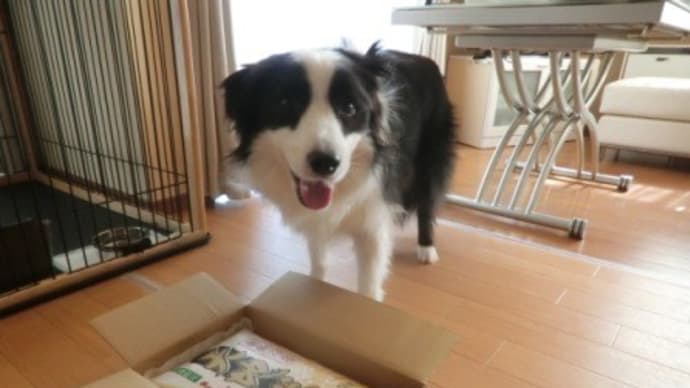ふるさと納税の返礼品(新潟県南魚沼市) 届きました