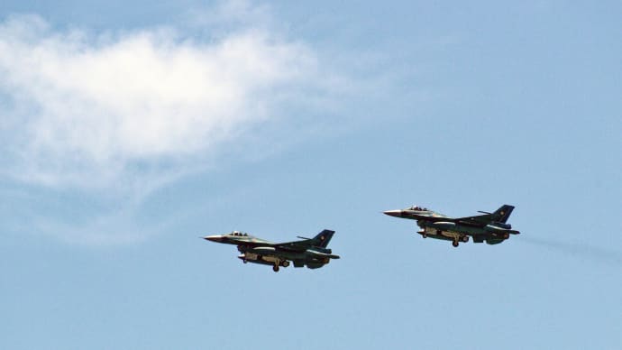 滅多にやって来ないジェット戦闘機を写しに行ってはみたが