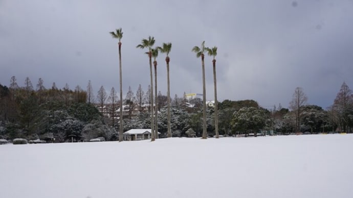雪の運動公園と上山