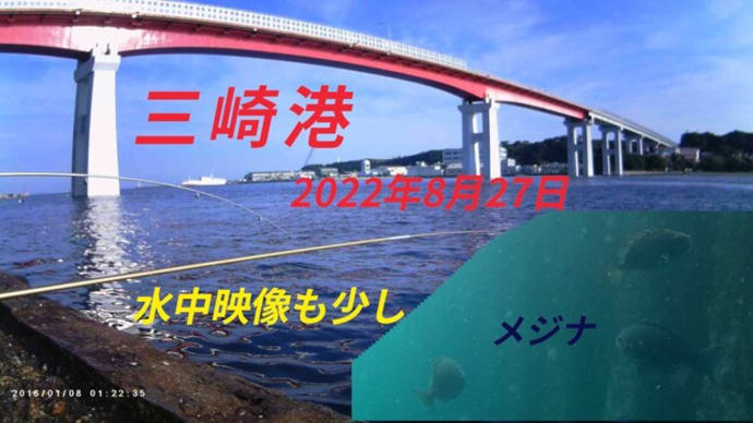 三崎港へ釣りに。 8月27日。 水中映像も。