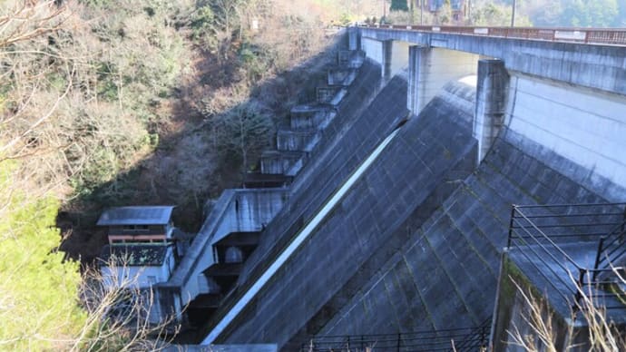 楢井ダム