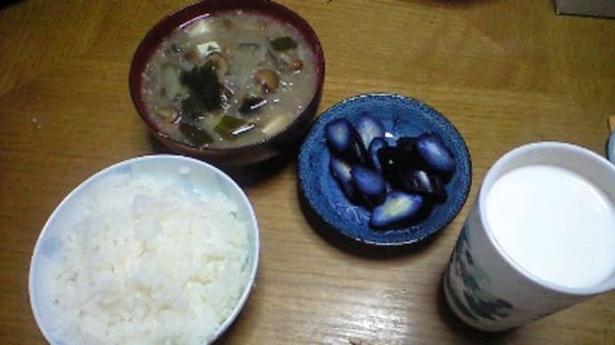 自分の好きなジャンルで・・・