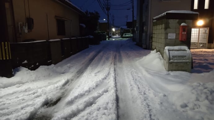 重い重い雪