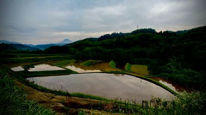 なんやかんやで・・・水無月(;^_^A