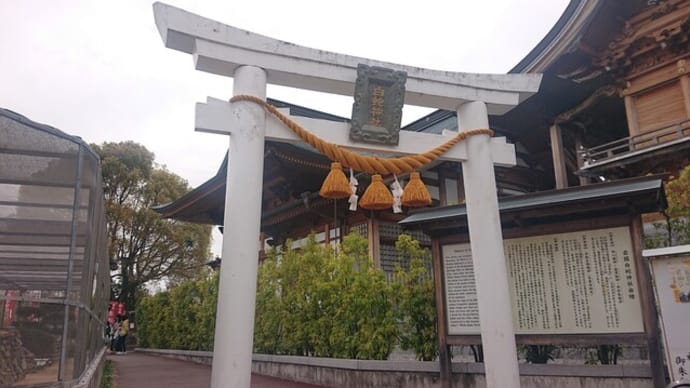 岩国白蛇神社(岩国市)