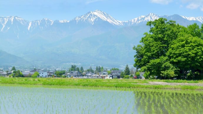 初夏の安曇野・・・アルプスの残雪と早苗田の風景