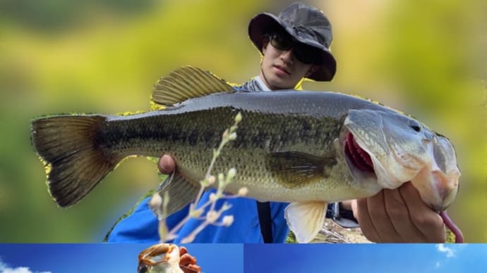 週末バス釣り・・