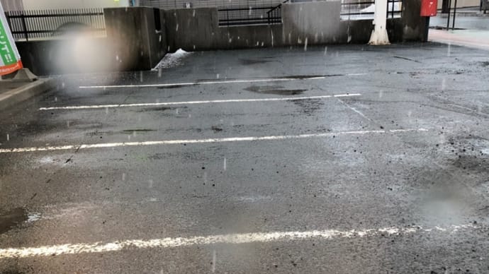 今日も雪…。